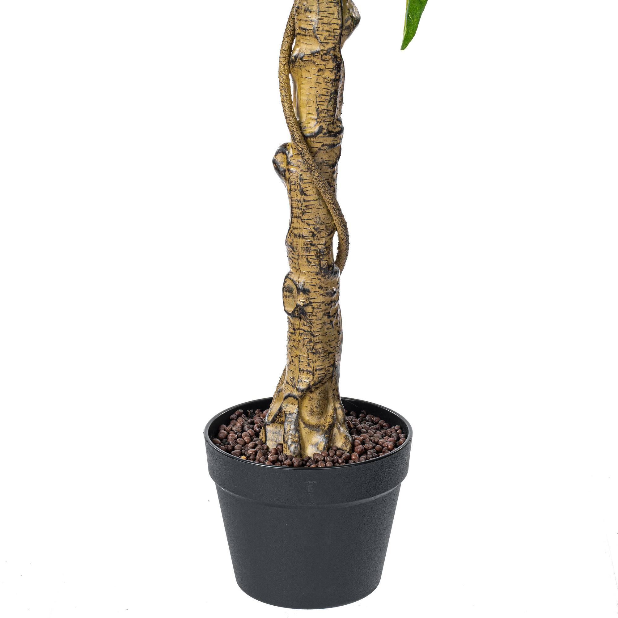 4ft. Potted Lemon Tree